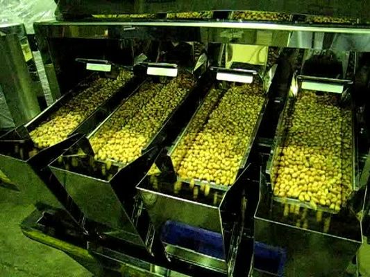 6500 machine linéaire principale de peseur du gramme 4 pour le chocolat