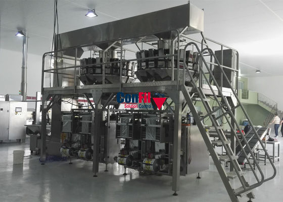 Tête 10 machine façonnage/remplissage/soudure verticale de 500 grammes avec la double machine de remplissage de peseur