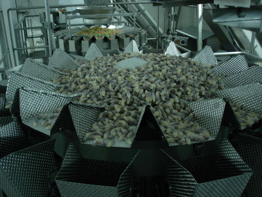 Machine de conditionnement gommeuse de sucrerie d'ours de peseur de Multihead 500 grammes d'imperméable