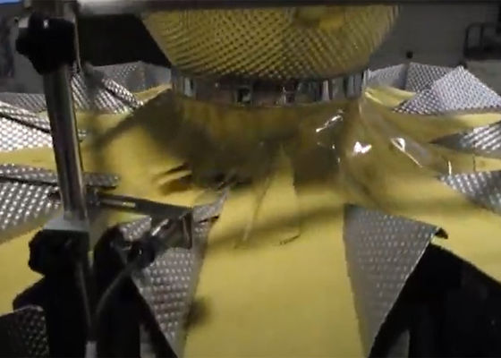 Machine à emballer de peseur de Multihead pour le système de conditionnement du sac de vide de couscous VFFS