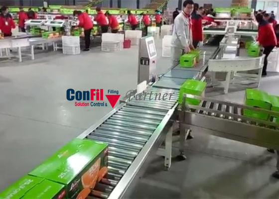 50 morceaux/minute 30 kilogrammes examinent la machine de peseur pour assurer les caisses de boîtes